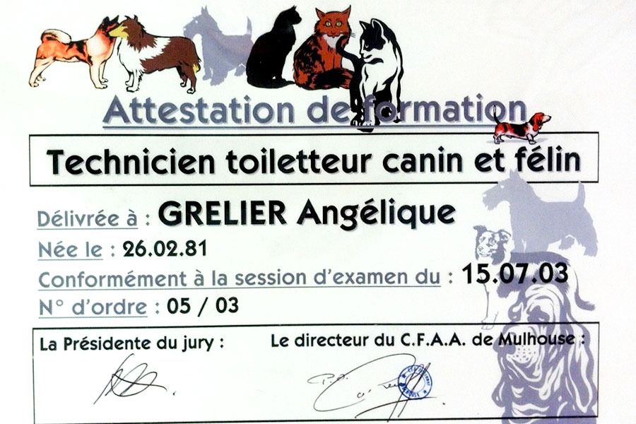 toiletteur canin et félin  à Moutiers-les-Mauxfaits en Vendée